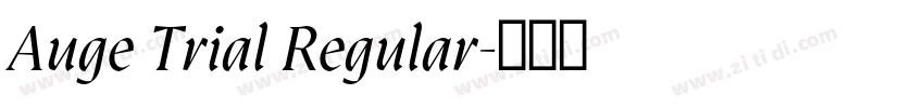 Auge Trial Regular字体转换